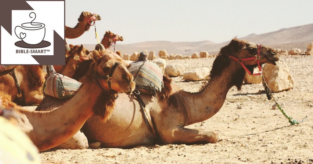 Bible-Smart.com: Camels